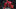 gettyimages-52249302[1]_16x9.jpg