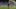 liverpool-everton-1989-seier[1]_16x9.jpg