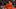 gettyimages-2196045896_16x9.jpg