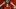 GettyImages-2222271181-min_16x9.jpg GettyImages-2222271181-min_16x9.jpg