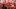 gettyimages-1399772192-1[1]_16x9.jpg