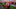 GettyImages-2217001926_16x9.jpg