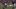 liverpool-everton-1989-seier-3[1]_16x9.jpg
