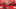 gettyimages-1397240181[1]_16x9.jpg