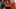 untitled-design-14_16x9.png untitled-design-14_16x9.png