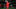 wembley10[1]_16x9.jpg