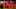 gettyimages-91539012[1]_16x9.jpg
