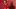 gettyimages-2221182177_16x9.jpg