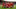 finale-everton-1986-seier-3[1]_16x9.jpg