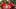 gettyimages-2217497449_16x9.jpg