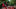 gettyimages-1399909153[1]_16x9.jpg